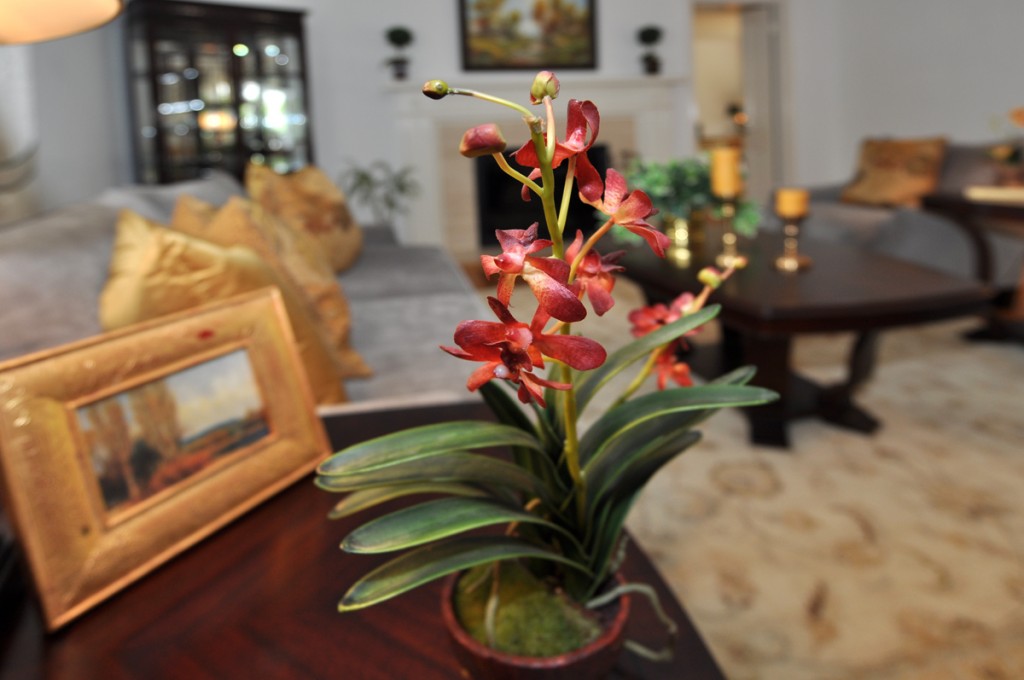 Arcadia Home Staging Living Room closeup photo Arcadia Home Staging Living Room closeup photo