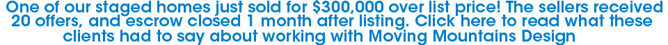 Staging Nets Seller 1500% Return